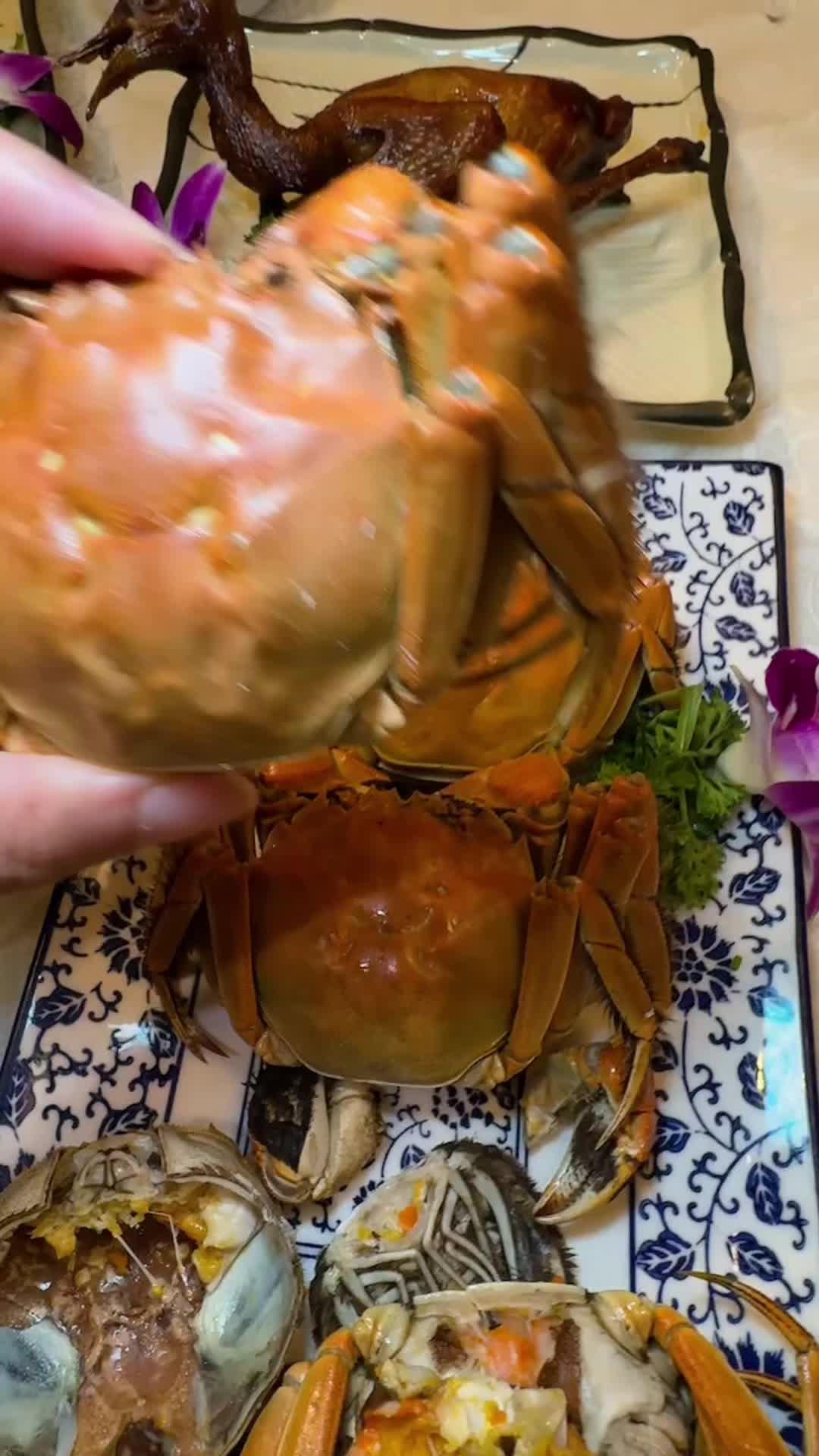 江蘇大閘蟹