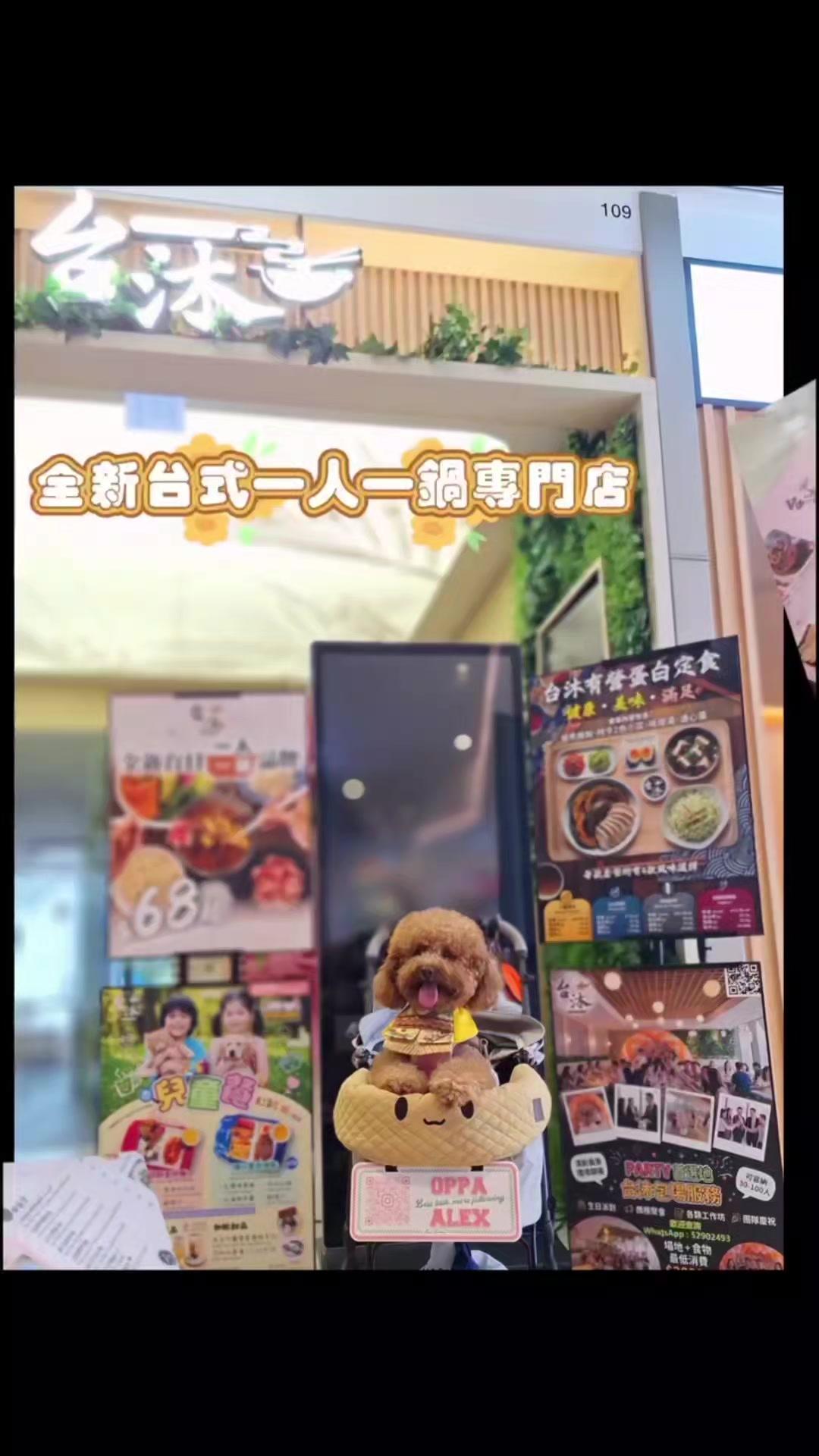 台沐 – 香港北角北角匯的台灣菜火鍋親子餐廳 | OpenRice 香港開飯喇